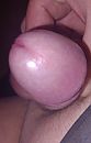 Eikel, foto 1867x2902, 2 reacties, 6 stemmen