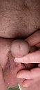 Eikel, foto 1805x4000, 10 reacties, 24 stemmen
