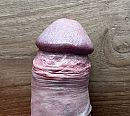 Eikeltje, foto 2153x1935, 1 reacties, 7 stemmen