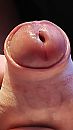 Eindelijk weer eens nieuwe pla, foto 2250x4000, 1 reacties, 6 stemmen