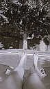 Eindelijk, foto 1080x1920, 1 reacties, 7 stemmen