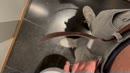 Even naar de wc op het werk, film 00:00:21, 6 reacties, 13 stemmen