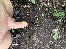 Even de broek naar beneden, foto 4000x3000, 6 reacties, 20 stemmen
