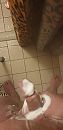 Even goed schoonmaken, foto 1944x4000, 0 reacties, 1 stemmen