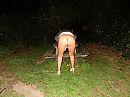 Even in het park, foto 2608x1956, 12 reacties, 75 stemmen