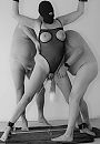 Even je staart, foto 433x624, 14 reacties, 80 stemmen