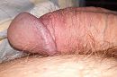 Even wat dichterbij, foto 3375x2250, 0 reacties, 3 stemmen