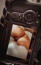 FOTOSHOOT...., foto 852x1336, 7 reacties, 72 stemmen