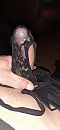 Ff, foto 1848x4000, 5 reacties, 16 stemmen