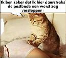 Fijne dag toegewenst, foto 1076x953, 0 reacties, 4 stemmen