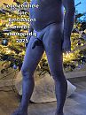Fijne feestdagen, foto 3000x4000, 0 reacties, 8 stemmen
