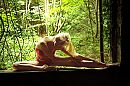 Flexibel, foto 4000x2666, 13 reacties, 44 stemmen