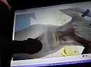 For aapxxx, foto 3264x2448, 0 reacties, 3 stemmen