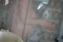 Fotze waschen, Euter schwingen, film 00:00:27, 9 reacties, 52 stemmen