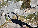 Freedom!, foto 4000x3000, 3 reacties, 7 stemmen
