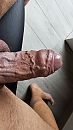 Geaderde pik, foto 2252x4000, 1 reacties, 6 stemmen