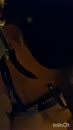 Geblinddoekt, film 00:00:17, 2 reacties, 42 stemmen