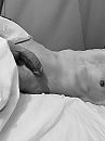 Geil wakker worden, foto 2448x3264, 1 reacties, 4 stemmen