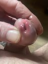 Geil, foto 3000x4000, 6 reacties, 14 stemmen