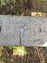 Geil, foto 3000x4000, 1 reacties, 5 stemmen
