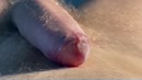 Geile goeie morgen., film 00:00:22, 1 reacties, 7 stemmen
