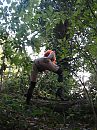 Geile JIzz in het bos, foto 2736x3648, 4 reacties, 14 stemmen