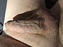 Geile bui, foto 640x480, 0 reacties, 2 stemmen