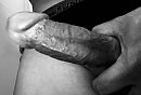 Geile pik toch …?, foto 1178x799, 0 reacties, 2 stemmen