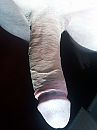 Geile pik, foto 2448x3264, 5 reacties, 2 stemmen