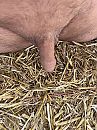 Gek doen, foto 3000x4000, 4 reacties, 7 stemmen
