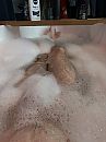 Genieten, foto 3000x4000, 2 reacties, 8 stemmen