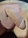 Geschoren, foto 2208x2944, 0 reacties, 2 stemmen