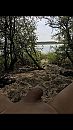 Gezocht !!, foto 750x1334, 0 reacties, 10 stemmen