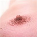 Gladde nippels, foto 1502x1502, 6 reacties, 10 stemmen