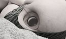 Glazen plug, foto 3549x2159, 13 reacties, 40 stemmen