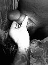 Glory hollllllllll, foto 3000x4000, 5 reacties, 16 stemmen