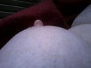Gluren en vrienden maken, foto 320x240, 8 reacties, 12 stemmen