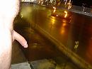 Goedeavond, foto 2048x1536, 1 reacties, 12 stemmen