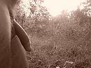 Goedeavond, foto 2048x1536, 2 reacties, 9 stemmen