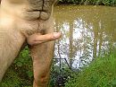 Goedeavond, foto 2048x1536, 2 reacties, 11 stemmen