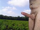 Goedeavond, foto 2048x1536, 2 reacties, 7 stemmen