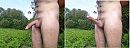 Goedeavond, foto 4000x1493, 4 reacties, 9 stemmen