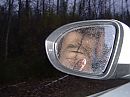 Goedeavond, foto 2048x1536, 6 reacties, 18 stemmen