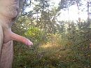 Goedeavond, foto 2048x1536, 1 reacties, 8 stemmen