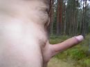 Goedeavond, foto 2048x1536, 3 reacties, 5 stemmen