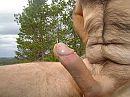 Goedeavond, foto 2048x1536, 5 reacties, 15 stemmen