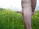 Goedeavond, foto 2048x1536, 0 reacties, 7 stemmen