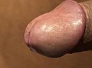 Goedemorgen Iemand zin …?, foto 4000x3000, 0 reacties, 0 stemmen