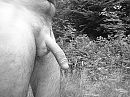 Goedemorgen, foto 2048x1536, 1 reacties, 8 stemmen