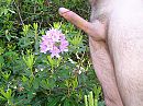 Goedemorgen, foto 2048x1536, 1 reacties, 8 stemmen